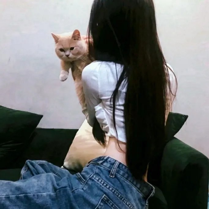 诚实的锁